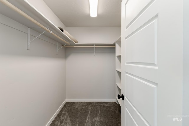 4429 N Magical Creek Ave, Meridian, ID 83646 - walk in closet featuring carpet