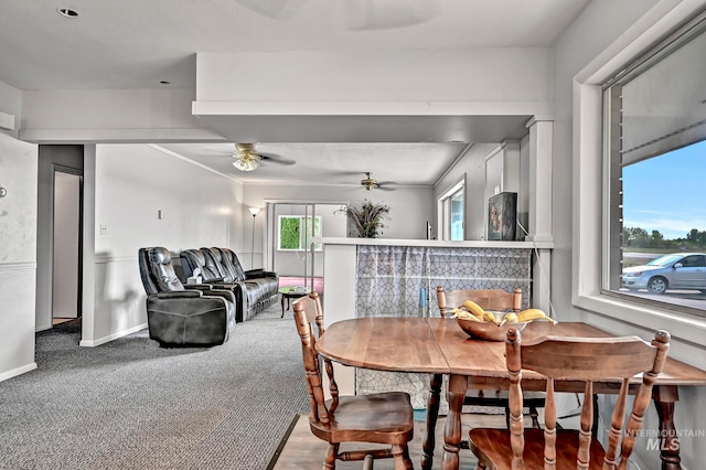 dining room featuring ceiling fan and hardwood / wood-style floors