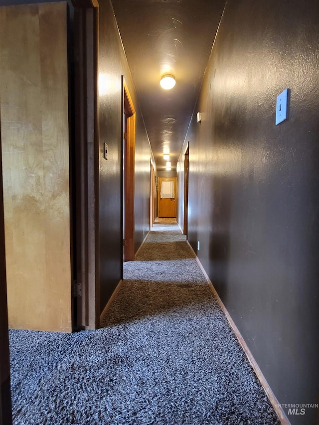 hallway featuring carpet floors