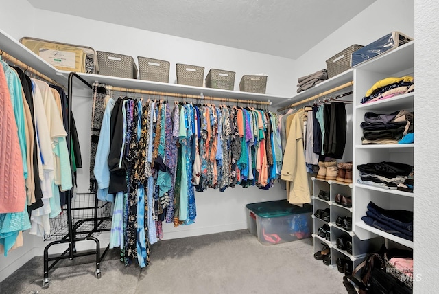 view of spacious closet