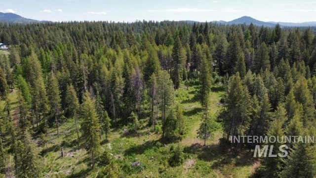 TBD Old Avon Rd, Deary, ID 83823