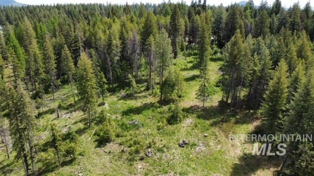 TBD Old Avon Rd, Deary, ID 83823