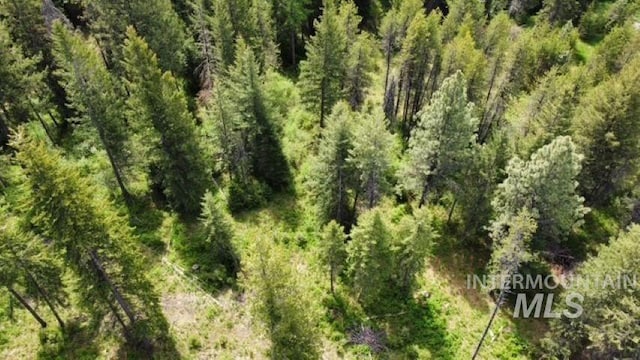 TBD Old Avon Rd, Deary, ID 83823