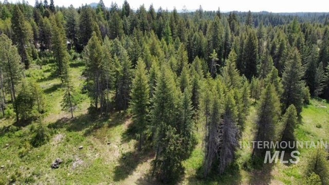 TBD Old Avon Rd, Deary, ID 83823