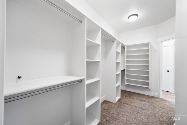 7253 River View Dr, Marsing, ID 83639 - walk in closet with carpet flooring