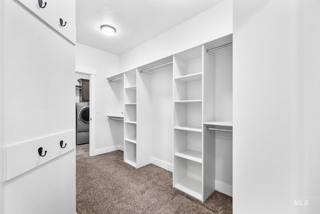 7253 River View Dr, Marsing, ID 83639 - walk in closet with carpet floors and washer / clothes dryer