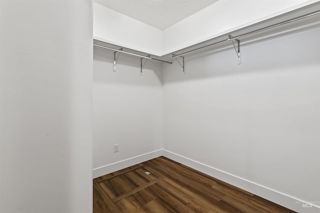 walk in closet featuring dark wood-type flooring