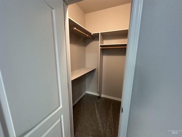 spacious closet featuring dark colored carpet