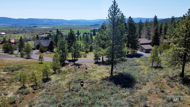 TBD Yarrow Dr, New Meadows, ID 83654