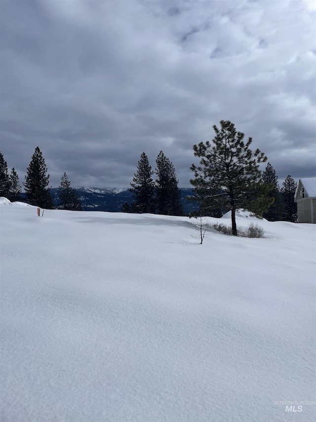 TBD Yarrow Dr, New Meadows, ID 83654