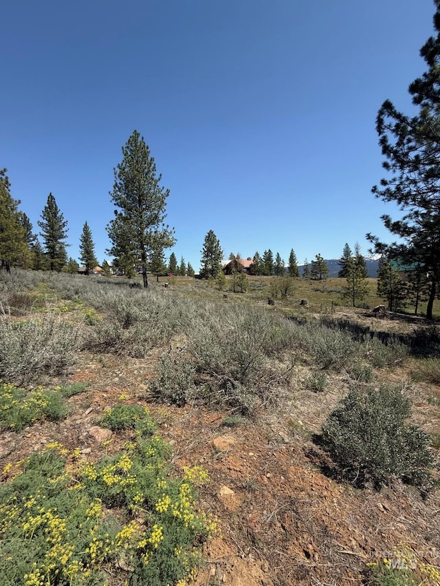 TBD Yarrow Dr, New Meadows, ID 83654