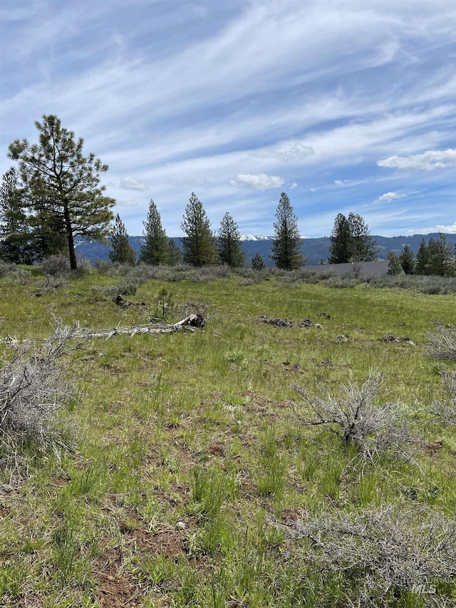 TBD Yarrow Dr, New Meadows, ID 83654