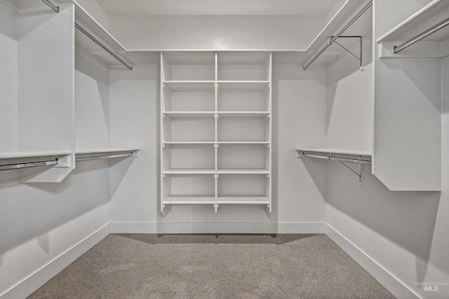 11844 N 21st Ave, Boise, ID 83714 - spacious closet with carpet flooring
