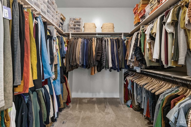 walk in closet featuring carpet