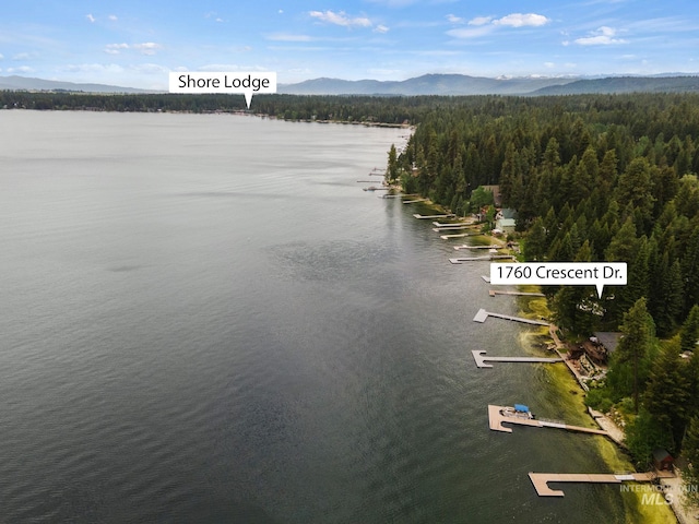 property view of water featuring a mountain view