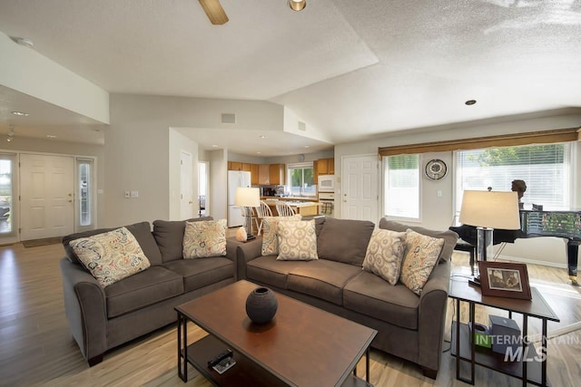 3411 Wilson Ln, Nampa, ID 83686 - living room with lofted ceiling, light wood-type flooring, and a textured ceiling