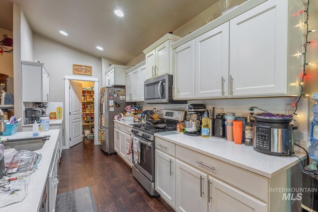 3744 S Antler Rdg, Boise, ID 83709 - kitchen featuring appliances with stainless steel finishes, lofted ceiling, dark wood finished floors, decorative backsplash, and recessed lighting