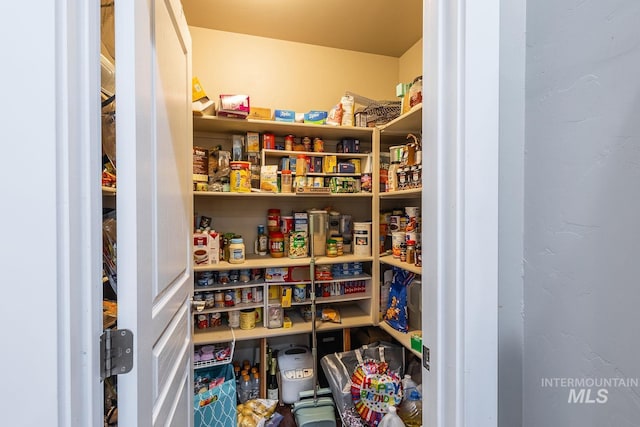 3744 S Antler Rdg, Boise, ID 83709 - view of pantry