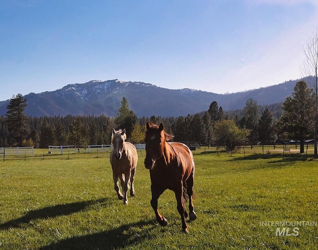 view of property's community featuring a mountain view, a rural view, and a view of trees