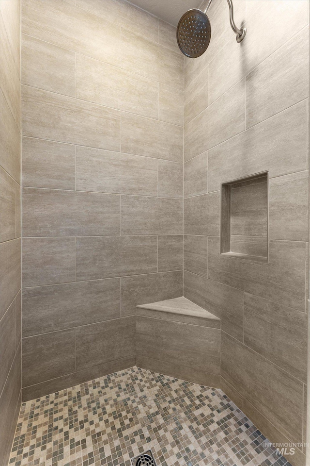 1031 E Reflect Ridge Dr, Meridian, ID 83642 - bathroom featuring tiled shower