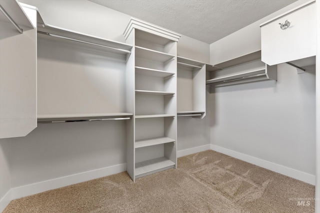1031 E Reflect Ridge Dr, Meridian, ID 83642 - walk in closet with carpet