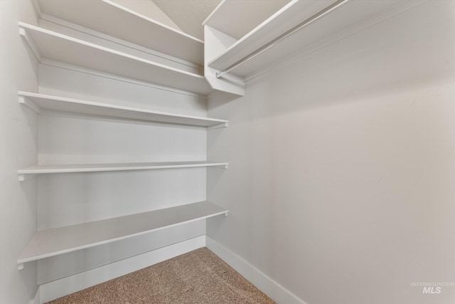 1031 E Reflect Ridge Dr, Meridian, ID 83642 - spacious closet with carpet floors