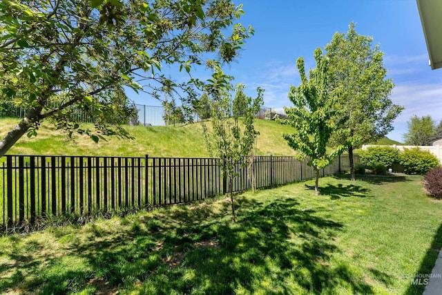 1031 E Reflect Ridge Dr, Meridian, ID 83642 - view of yard