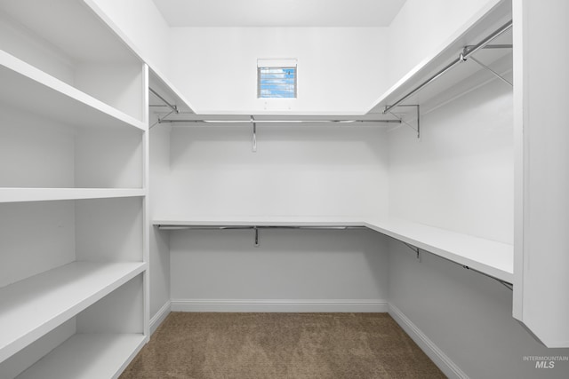 5853 W Venetian Dr, Eagle, ID 83616 - spacious closet with carpet