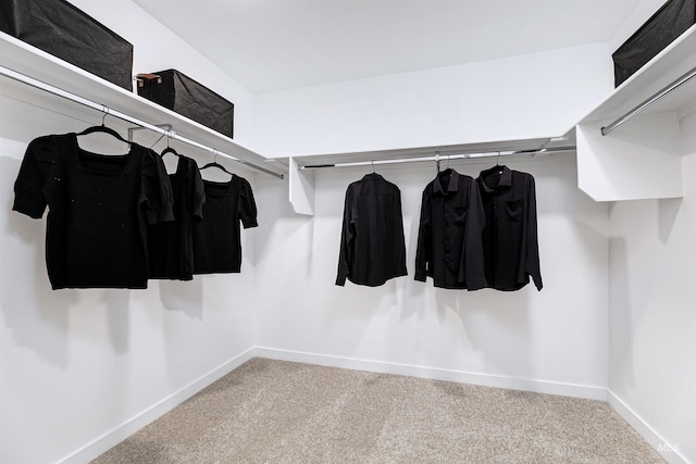 spacious closet with carpet floors