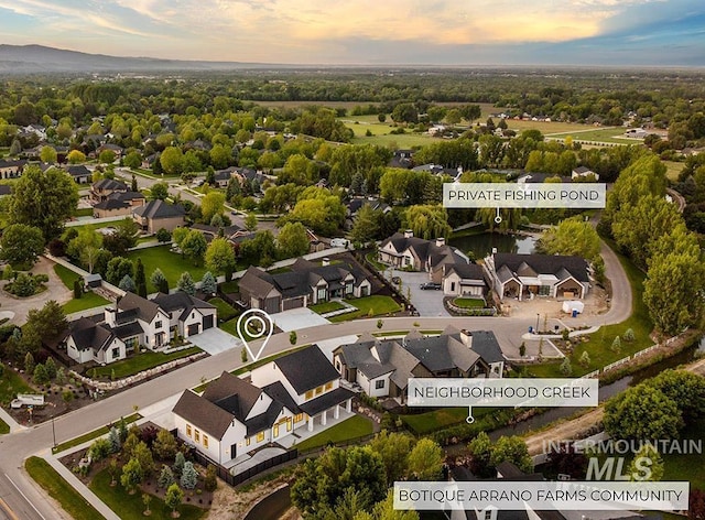 1195 N Arrano Farms Ln, Eagle, ID 83616 - aerial view of residential area