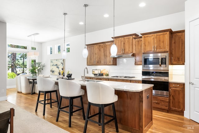 kitchen with a sink, light wood finished floors, backsplash, and stainless steel appliances
