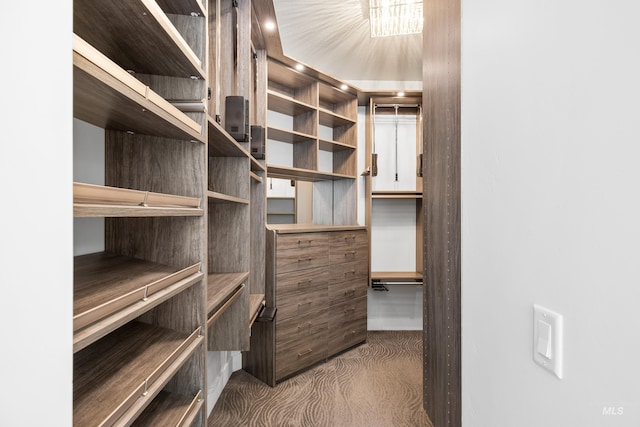 view of walk in closet