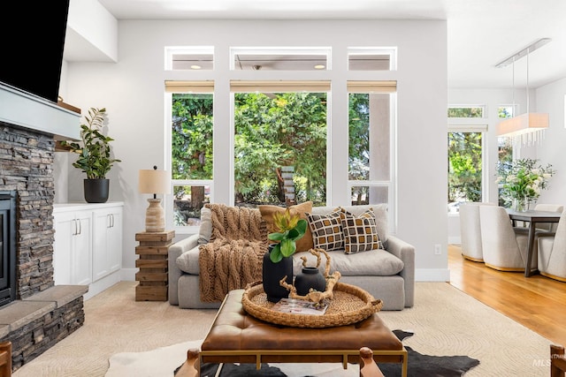 living area featuring wood finished floors and a fireplace