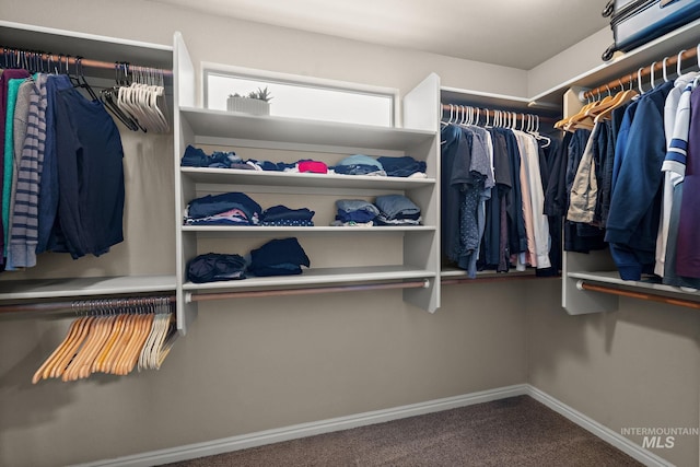 walk in closet featuring carpet floors