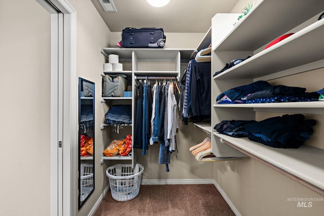 spacious closet featuring carpet flooring and visible vents
