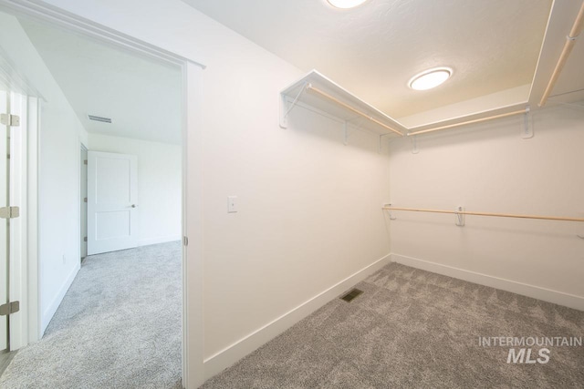 walk in closet featuring light colored carpet