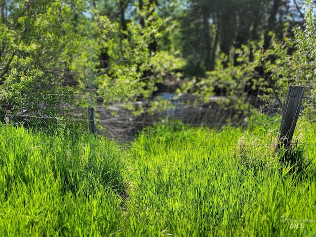 102 N Hornet Creek Rd, Council, ID 83612 - view of local wilderness
