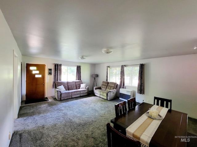 102 N Hornet Creek Rd, Council, ID 83612 - view of carpeted living room
