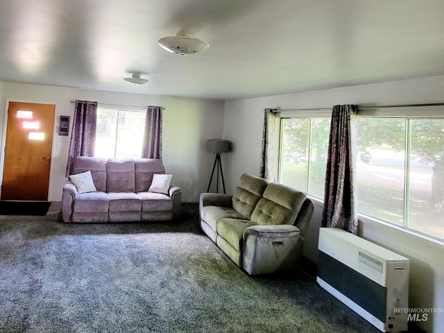 102 N Hornet Creek Rd, Council, ID 83612 - living room with plenty of natural light, dark carpet, and heating unit