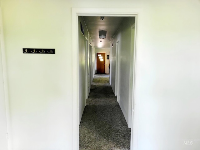 102 N Hornet Creek Rd, Council, ID 83612 - hall featuring dark carpet