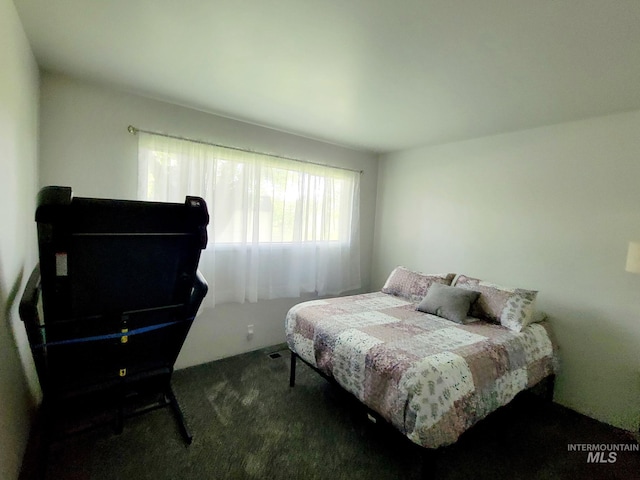 102 N Hornet Creek Rd, Council, ID 83612 - bedroom with carpet flooring
