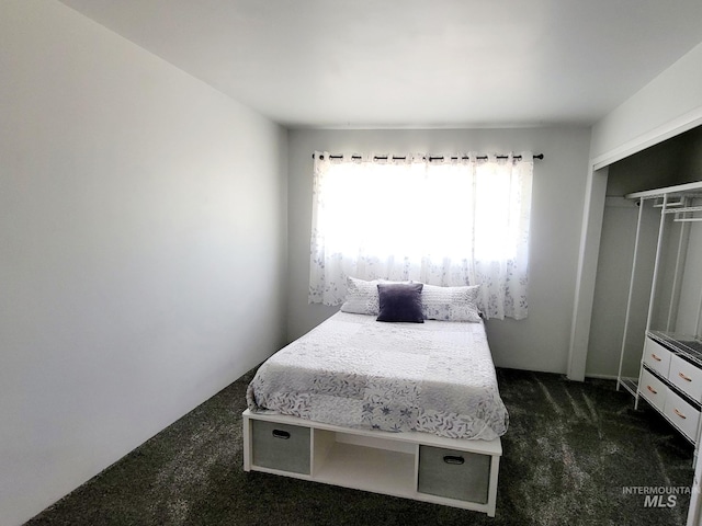102 N Hornet Creek Rd, Council, ID 83612 - bedroom featuring dark carpet and a closet