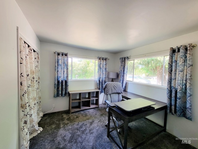 102 N Hornet Creek Rd, Council, ID 83612 - carpeted office space featuring healthy amount of natural light