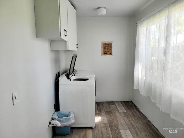 102 N Hornet Creek Rd, Council, ID 83612 - laundry room featuring cabinet space, wood finished floors, and washing machine and clothes dryer