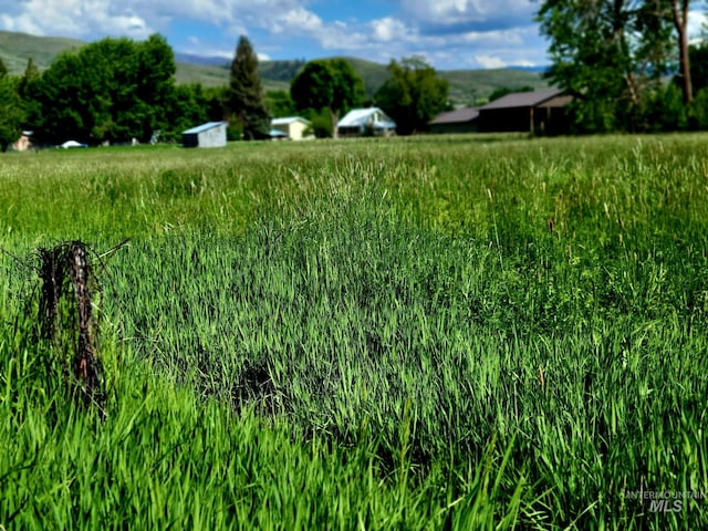102 N Hornet Creek Rd, Council, ID 83612 - view of yard