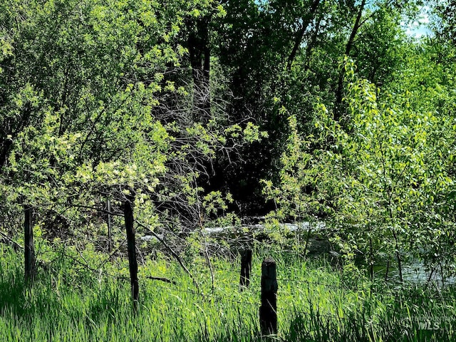 102 N Hornet Creek Rd, Council, ID 83612 - view of nature