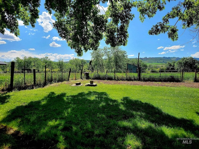 102 N Hornet Creek Rd, Council, ID 83612 - view of yard