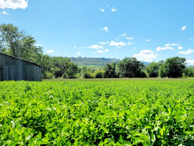 102 N Hornet Creek Rd, Council, ID 83612 - view of yard featuring agricultural area and a rural view