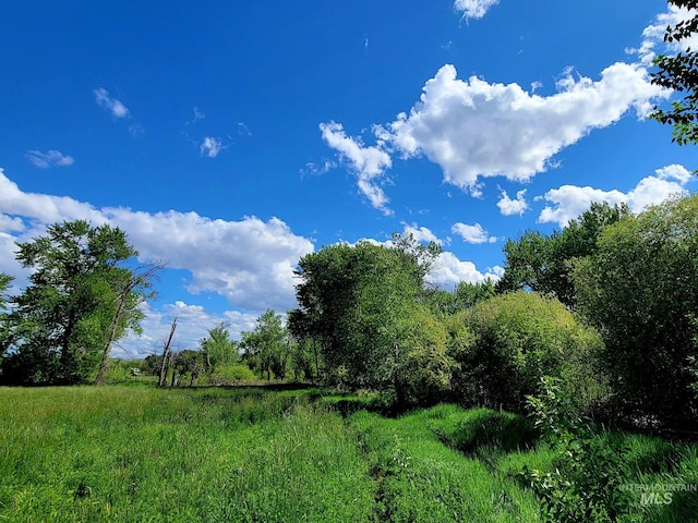 102 N Hornet Creek Rd, Council, ID 83612 - view of local wilderness