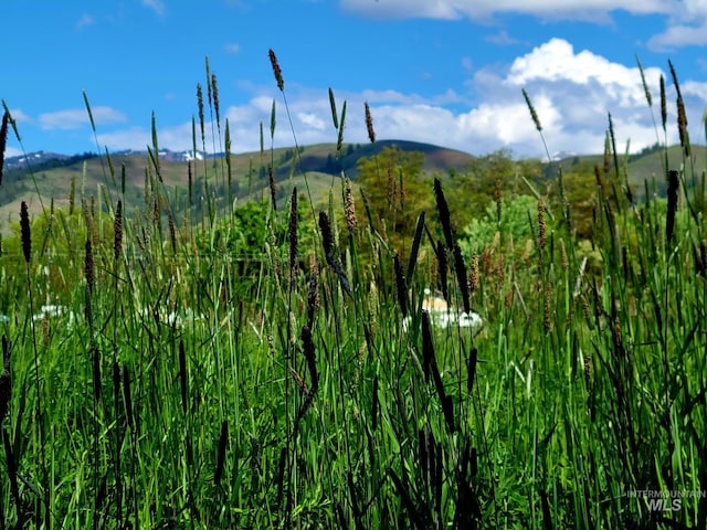 102 N Hornet Creek Rd, Council, ID 83612 - view of mountain backdrop